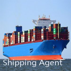 Sửa Shipping Agent